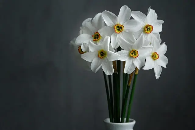 Tips to Make Fewer Flowers Look Like More